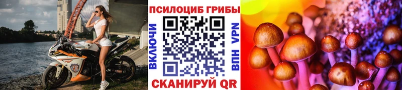 Купить закладки  Тобольск  Галлюциногенные грибы Psilocybine cubensis 